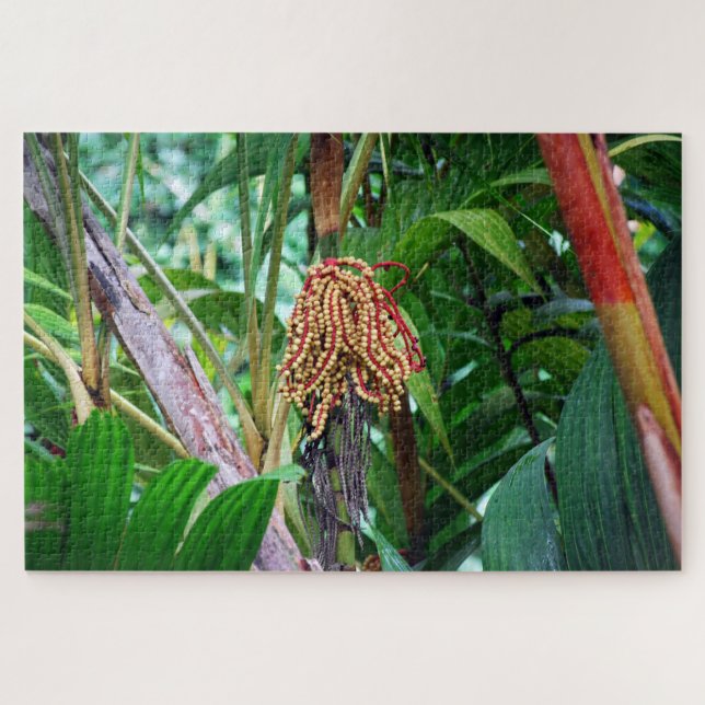 Palm Fruit in Hawaii Jigsaw Puzzle (Horizontal)