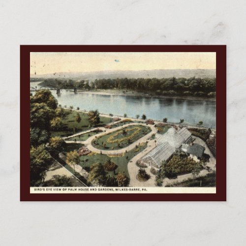 Palm House Wilkes Barre PA 1912 Vintage Postcard