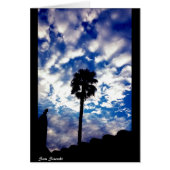 Palm in the Clouds (Front)