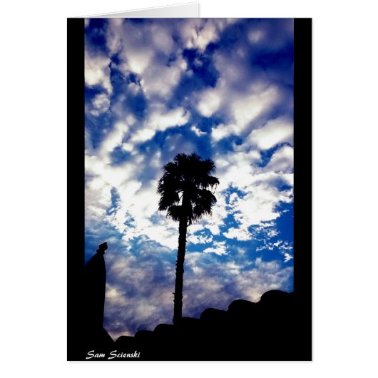 Palm in the Clouds Cards (Front)