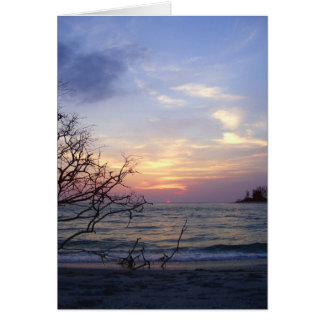 Palm Island Sunset 1 Cards
