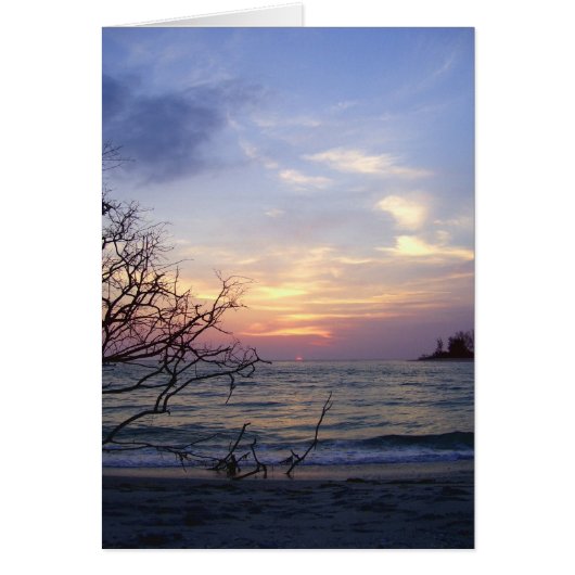 Palm Island Sunset 1 Cards (Front)