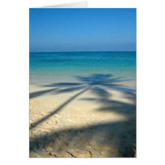 Palm, Lanikai Beach Cards