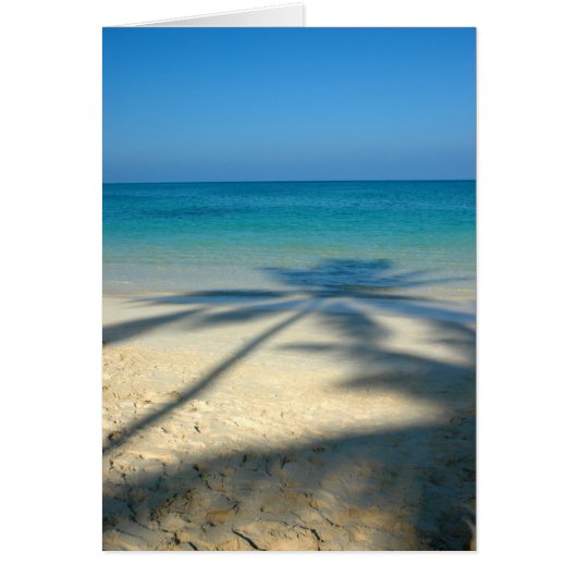 Palm, Lanikai Beach Cards (Front)