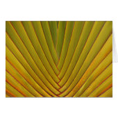 Palm Leaf (Front Horizontal)