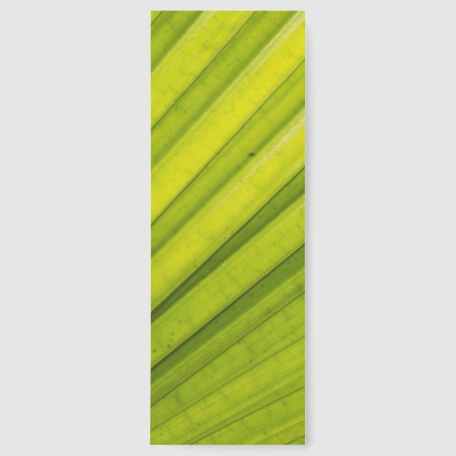 Palm Leaf Bookmarks (Front)