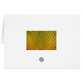 Palm Leaf Cards (Back Horizontal)