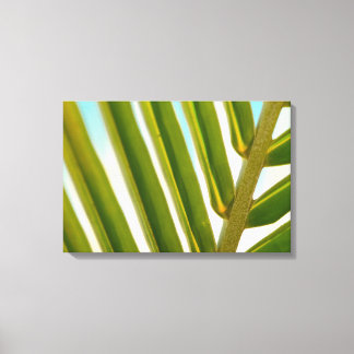 Palm Leaf Photo Canvas Print