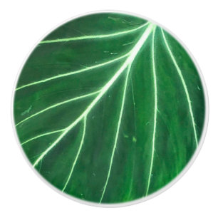 Palm Leaf, tropical foliage, jungle rainforest Ceramic Knob