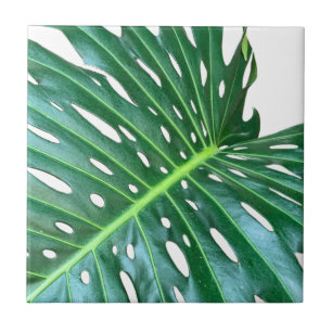 Palm Leaf, tropical foliage, jungle rainforest Ceramic Tile