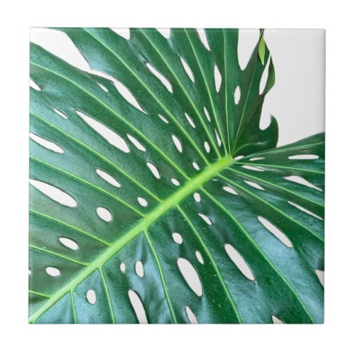 Palm Leaf tropical foliage jungle rainforest  Ceramic Tile