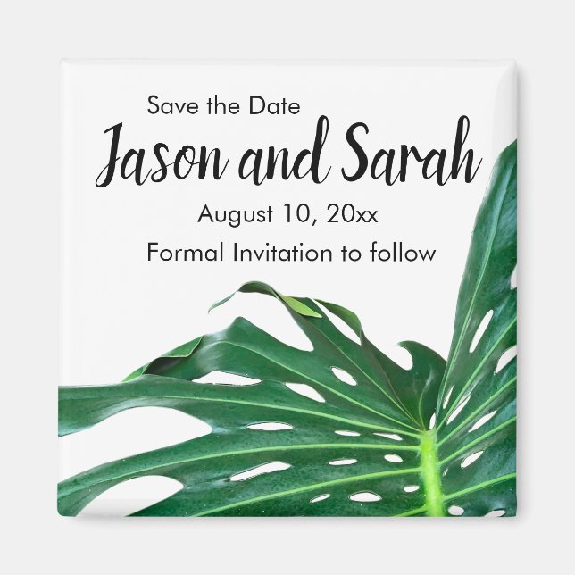 Palm Leaf, tropical foliage, jungle rainforest  Magnet (Front)