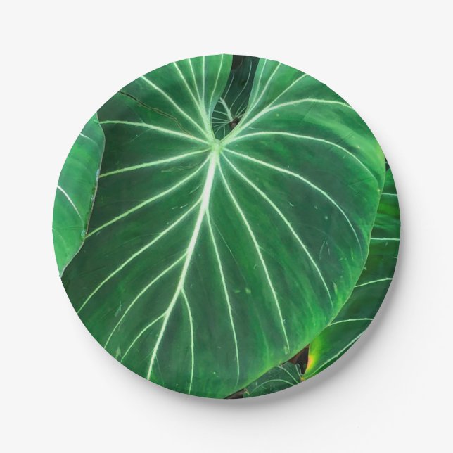 Palm Leaf, tropical foliage, jungle rainforest  Paper Plates (Front)