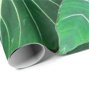 Palm Leaf, tropical foliage, jungle rainforest Wrapping Paper