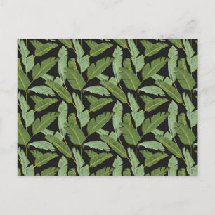 Palm Leaves 2 Postcard