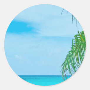 Palm Leaves Blue Sky Sea Clouds Blank Template Classic Round Sticker