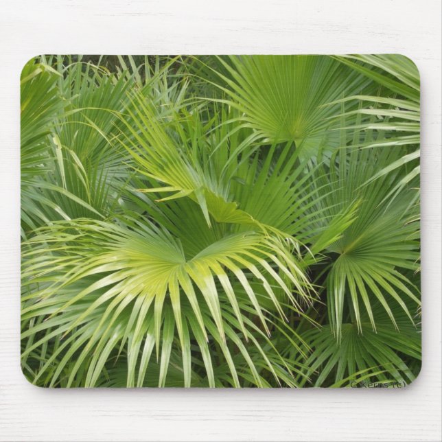 Palm Leaves Mouse Pad (Front)