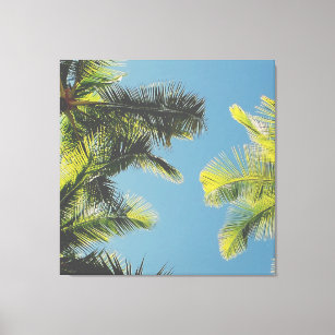 Palm Leaves Photo Tropical Summer Sky Retro Vibe Canvas Print