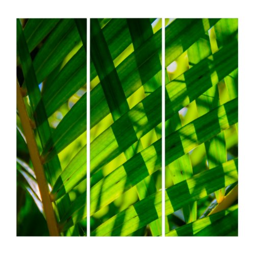 Palm Leaves Plaid Kapaa Kauai Hawaii Triptych