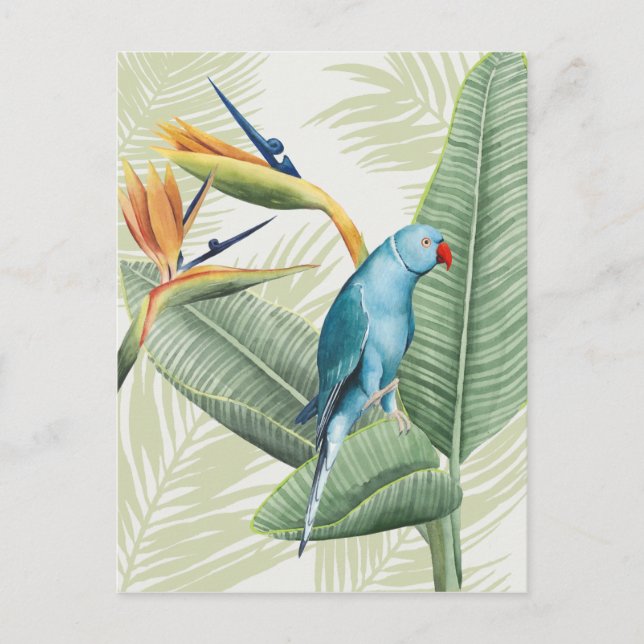 Palm Leaves With Blue Bird Postcard (Front)