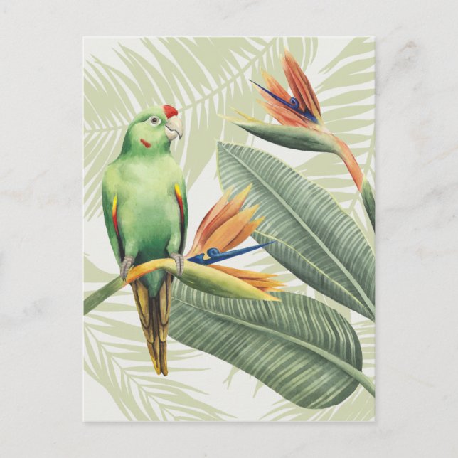 Palm Leaves With Green Bird Postcard (Front)