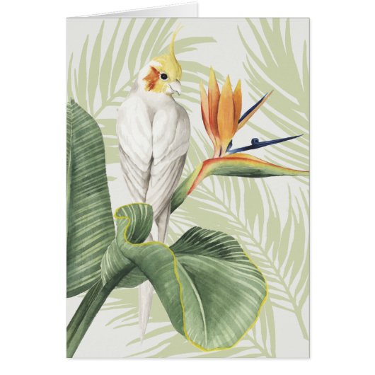 Palm Leaves With White Bird Cards (Front)