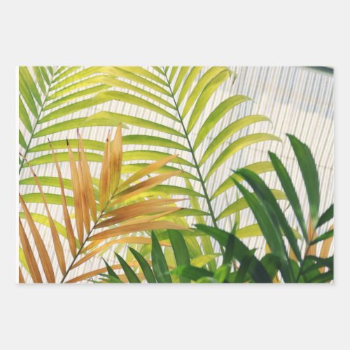 Palm leaves wrapping paper sheets