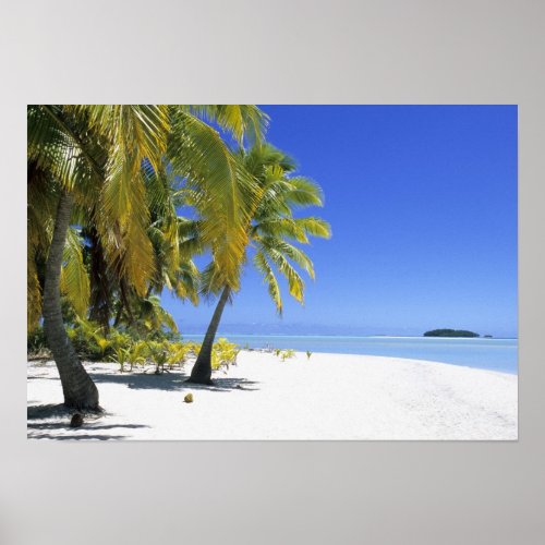 Palm lined beach Cook Islands 2 Poster