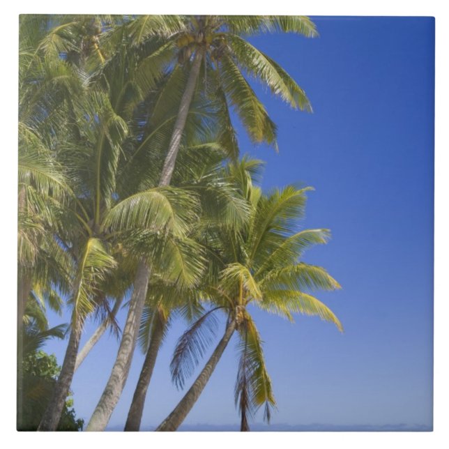 Palm lined beach Cook Islands 3 Ceramic Tile (Front)