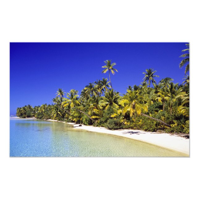 Palm lined beach Cook Islands 6 Photo Print (Front)