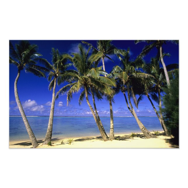 Palm lined beach Cook Islands 6 Photo Print (Front)
