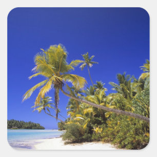 Palm lined beach Cook Islands 7 Square Sticker