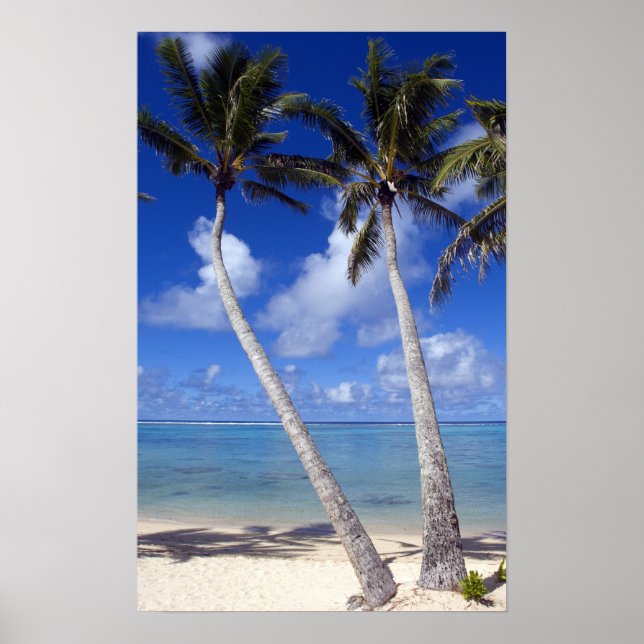 Palm lined beach Cook Islands Poster (Front)