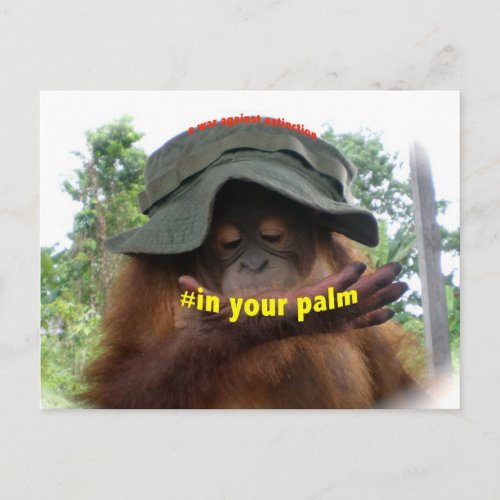 Palm Oil Orangutan Conservation Postcard