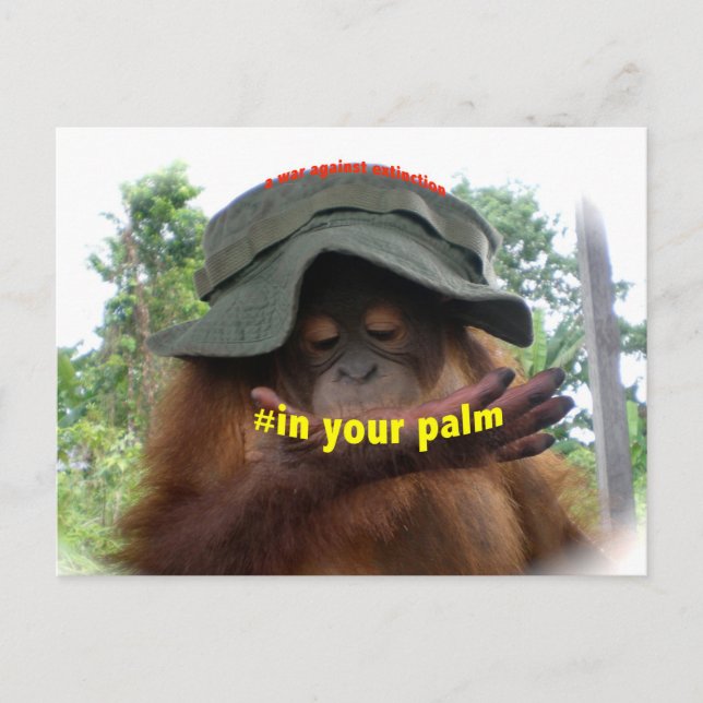 Palm Oil Orangutan Conservation Postcard (Front)