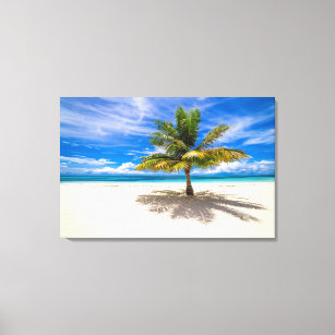 Palm on White Sand Beach Canvas Print