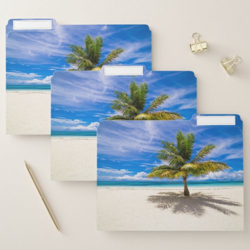 Palm on White Sand Beach File Folder