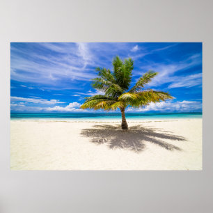Palm on White Sand Beach Poster