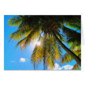 Palm Paradise Blue Sky Sunshine (Front Horizontal)