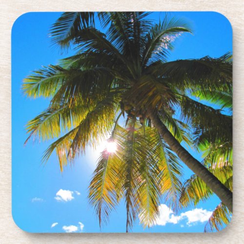 Palm Paradise Blue Sky Sunshine Beverage Coaster