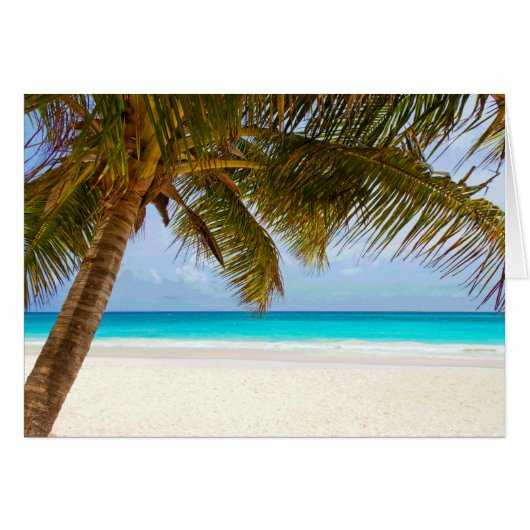 Palm Paradise Blue Sky Sunshine Cards (Front Horizontal)