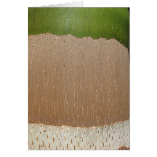Palm Pattern Cards (Front)