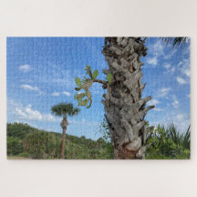 Palm & Prickle - Quiet Ember Puzzles