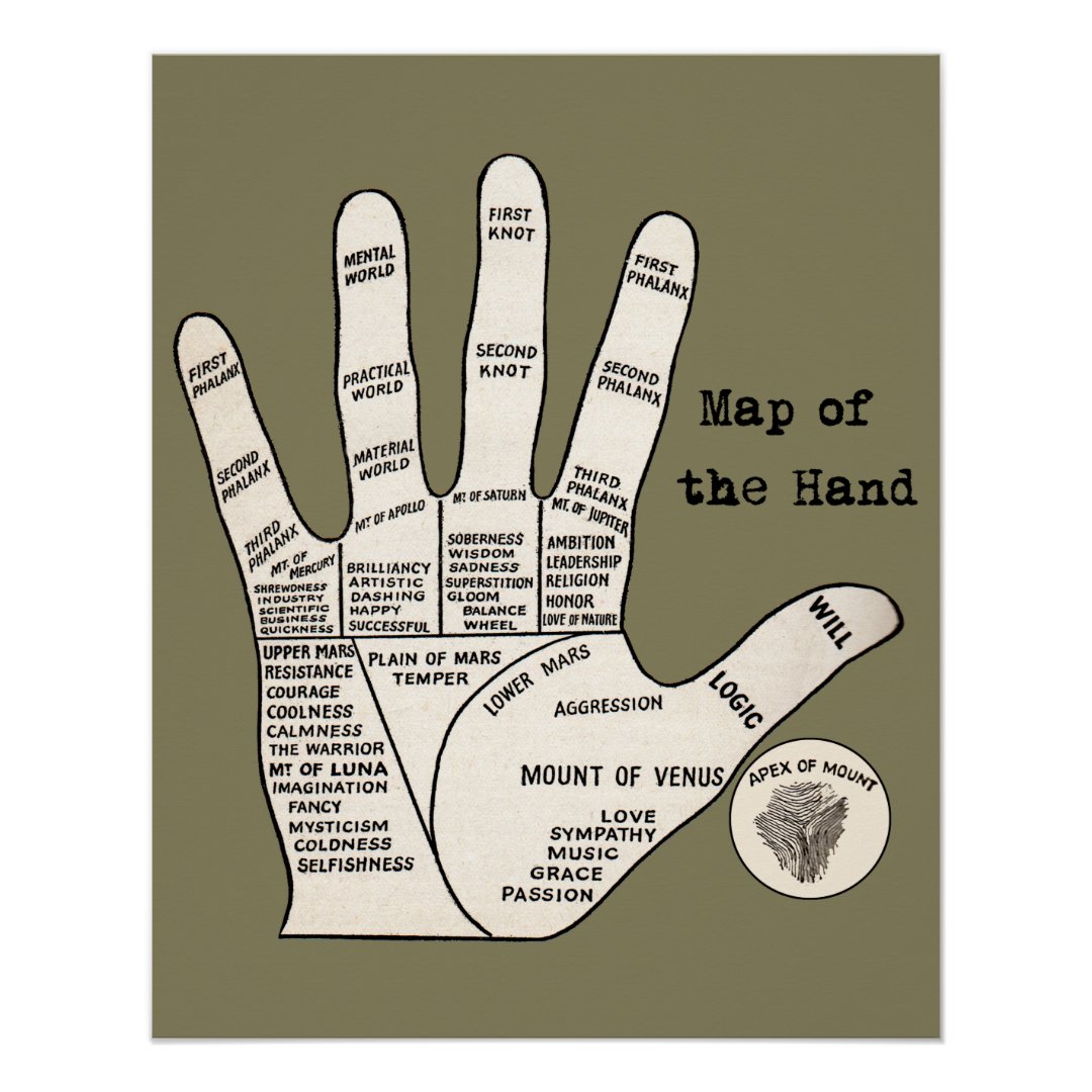 Palm reader map of the hand poster Zazzle