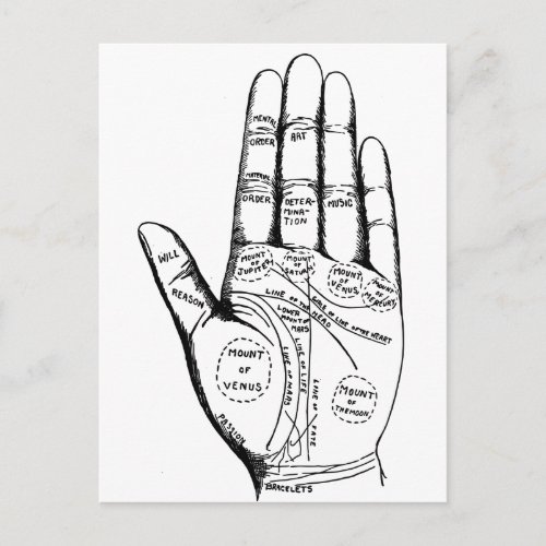 Palm Reading Chart Palmistry fortune teller future Postcard