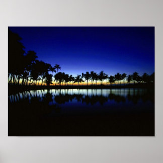 palm_silhouette_big_island_hawaii poster