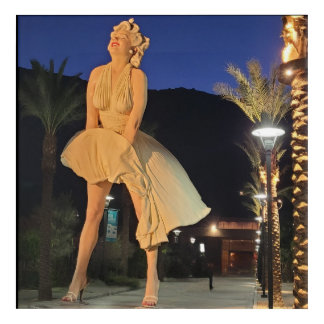 PALM SPRINGS #8 ACRYLIC PRINT