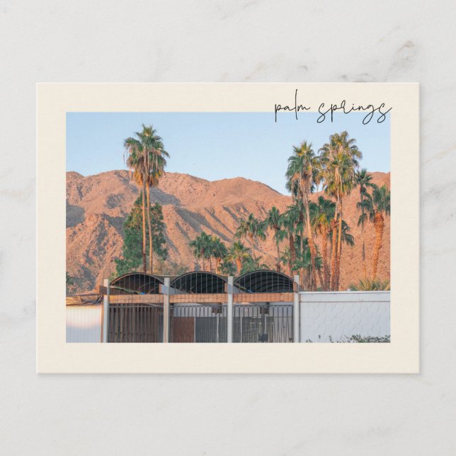 Palm Springs California Postcard (Front)