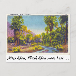Palm Springs Canyon, California Postcard
