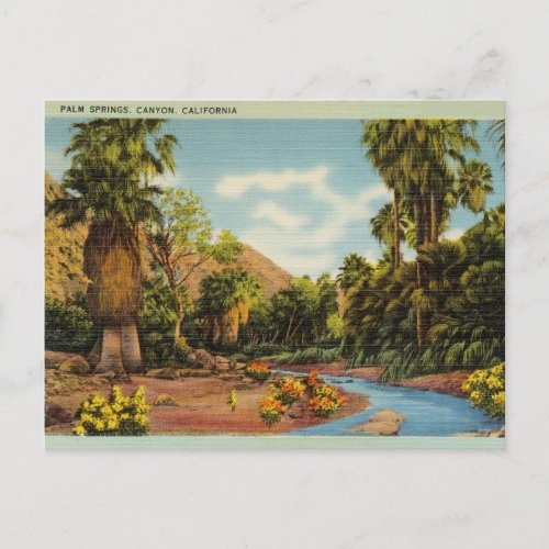 Palm Springs Canyon California Postcard